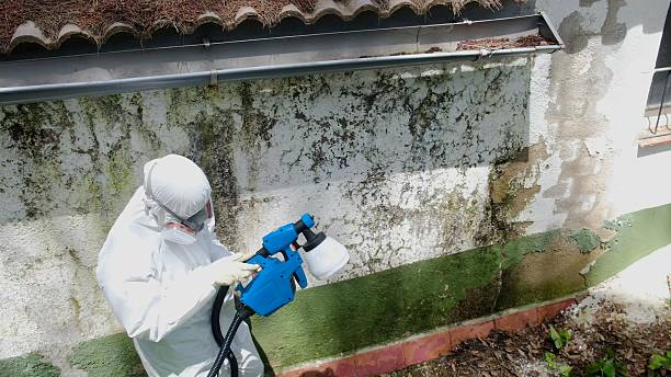 Clearance testing in Wood-Ridge